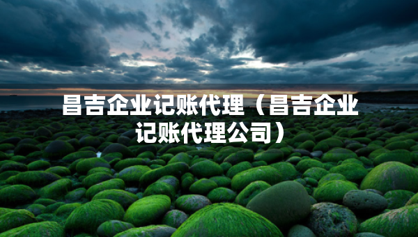 昌吉企业记账代理（昌吉企业记账代理公司）