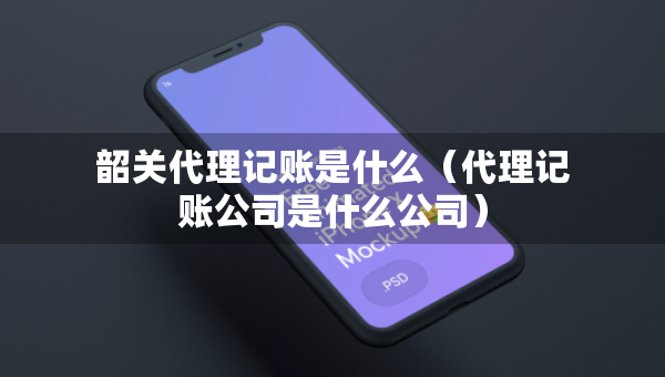 韶关代理记账是什么（代理记账公司是什么公司）