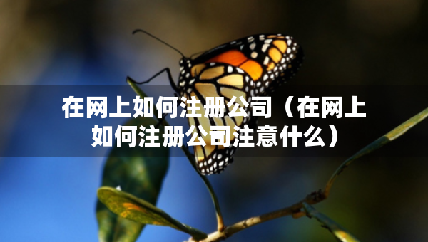 在网上如何注册公司（在网上如何注册公司注意什么）