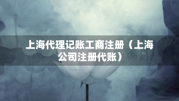 上海代理记账工商注册（上海公司注册代账）