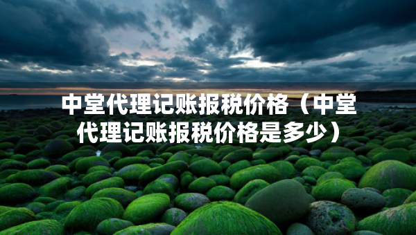 中堂代理记账报税价格（中堂代理记账报税价格是多少）