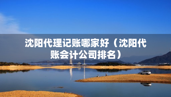 沈阳代理记账哪家好（沈阳代账会计公司排名）