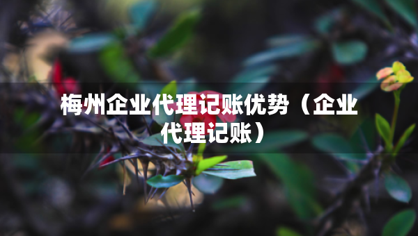 梅州企业代理记账优势（企业 代理记账）