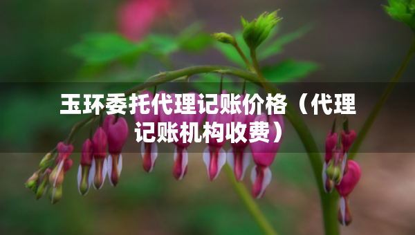 玉环委托代理记账价格（代理记账机构收费）