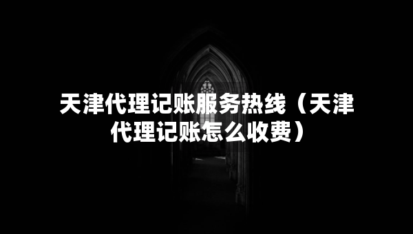 天津代理记账服务热线（天津代理记账怎么收费）