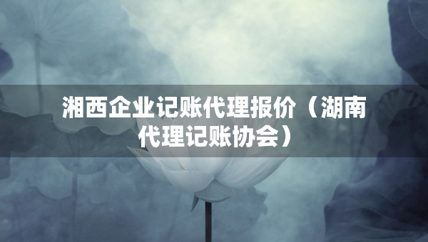 湘西企业记账代理报价（湖南代理记账协会）