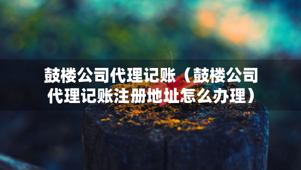 鼓楼公司代理记账（鼓楼公司代理记账注册地址怎么办理）