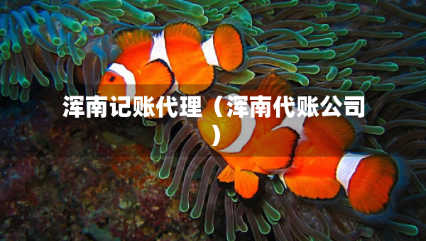 浑南记账代理（浑南代账公司）