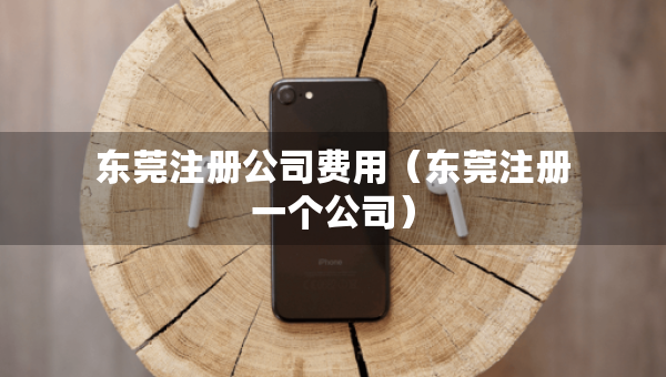 东莞注册公司费用（东莞注册一个公司）