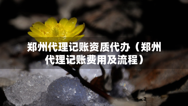 郑州代理记账资质代办（郑州代理记账费用及流程）