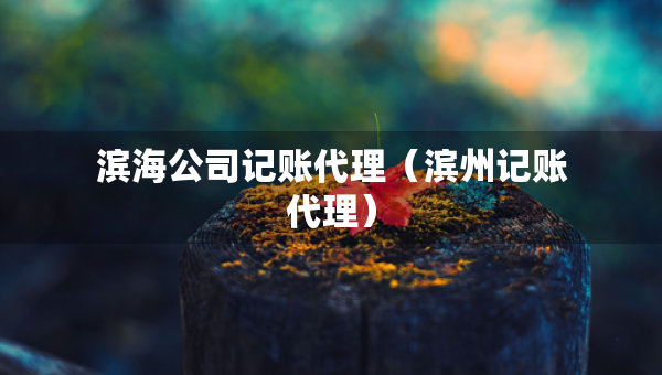 滨海公司记账代理（滨州记账代理）