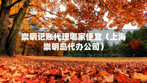 崇明记账代理哪家便宜（上海崇明岛代办公司）