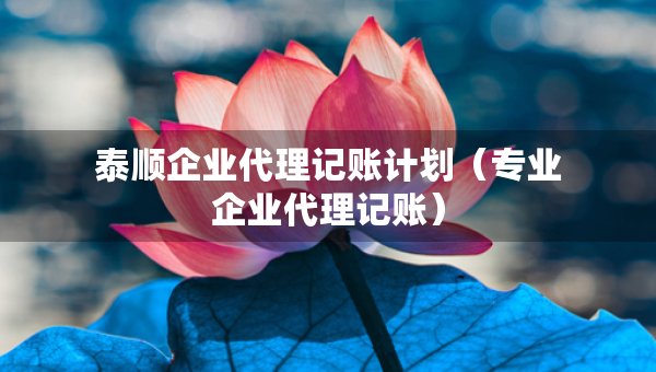 泰顺企业代理记账计划（专业企业代理记账）