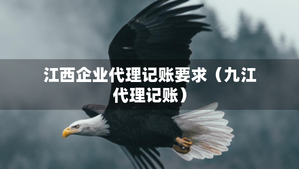 江西企业代理记账要求（九江代理记账）