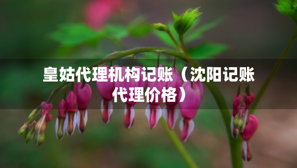 皇姑代理机构记账（沈阳记账代理价格）