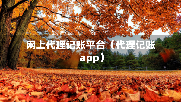 网上代理记账平台（代理记账 app）