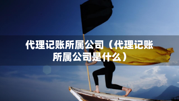 代理记账所属公司（代理记账所属公司是什么）