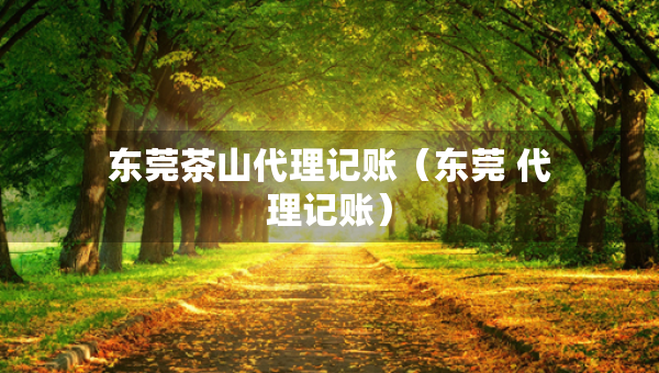 东莞茶山代理记账（东莞 代理记账）