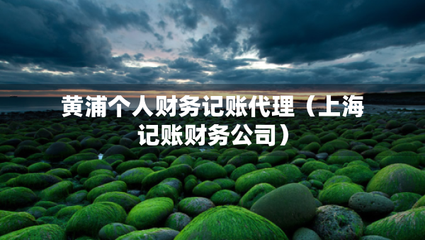 黄浦个人财务记账代理（上海记账财务公司）