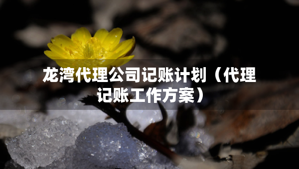 龙湾代理公司记账计划（代理记账工作方案）