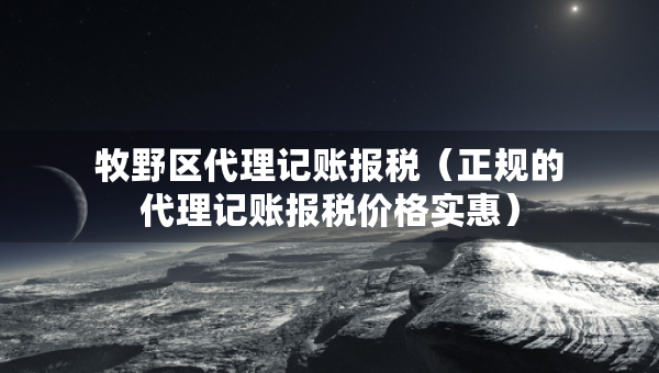 牧野区代理记账报税（正规的代理记账报税价格实惠）