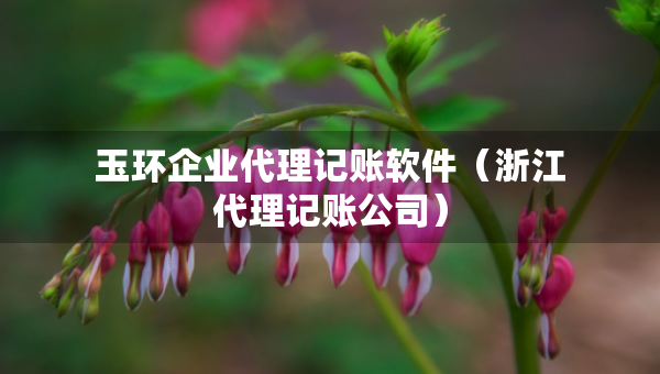 玉环企业代理记账软件（浙江代理记账公司）