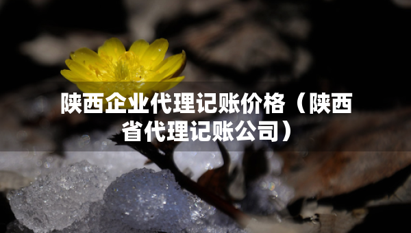 陕西企业代理记账价格（陕西省代理记账公司）