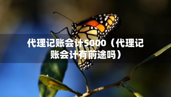 代理记账会计5000（代理记账会计有前途吗）