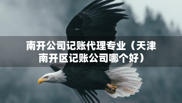 南开公司记账代理专业（天津南开区记账公司哪个好）