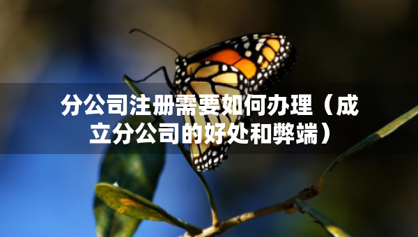 分公司注册需要如何办理（成立分公司的好处和弊端）