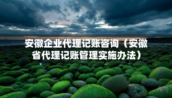 安徽企业代理记账咨询（安徽省代理记账管理实施办法）