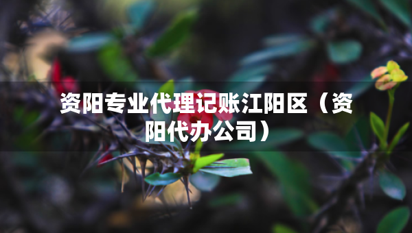 资阳专业代理记账江阳区（资阳代办公司）