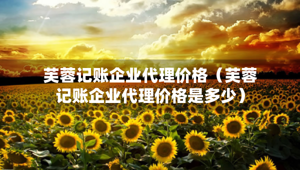 芙蓉记账企业代理价格（芙蓉记账企业代理价格是多少）