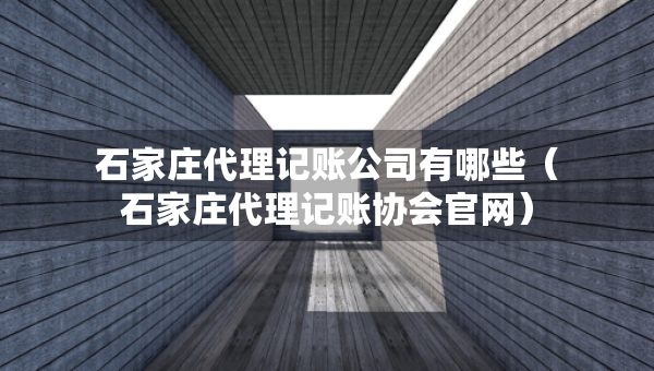 石家庄代理记账公司有哪些（石家庄代理记账协会官网）