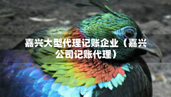 嘉兴大型代理记账企业（嘉兴公司记账代理）