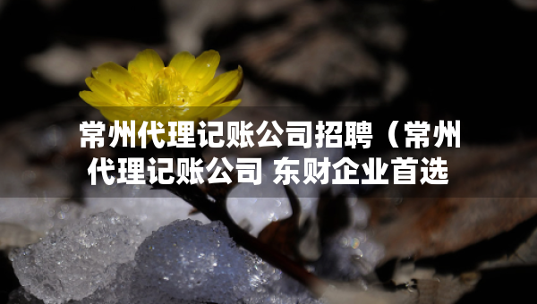 常州代理记账公司招聘（常州代理记账公司 东财企业首选）