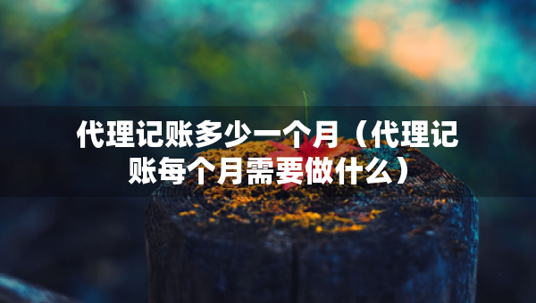 代理记账多少一个月（代理记账每个月需要做什么）