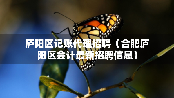 庐阳区记账代理招聘（合肥庐阳区会计最新招聘信息）