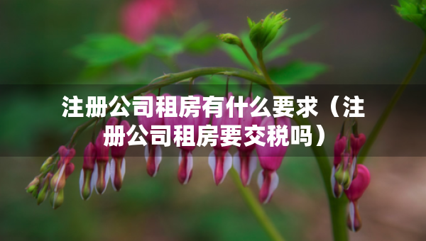 注册公司租房有什么要求（注册公司租房要交税吗）