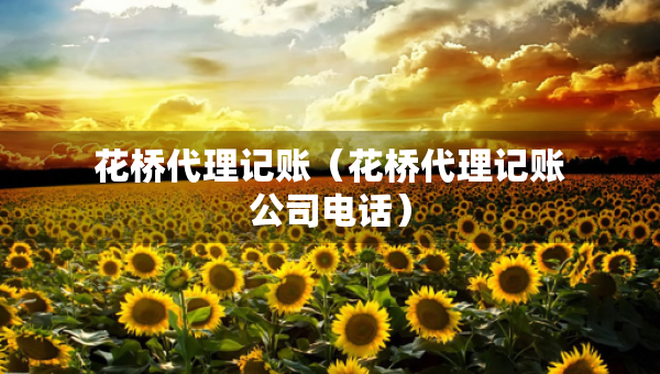 花桥代理记账（花桥代理记账公司电话）