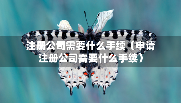 注册公司需要什么手续（申请注册公司需要什么手续）