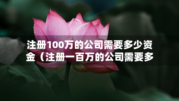 注册100万的公司需要多少资金（注册一百万的公司需要多少钱）