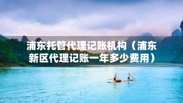 浦东托管代理记账机构（浦东新区代理记账一年多少费用）