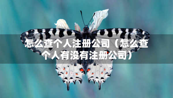 怎么查个人注册公司（怎么查个人有没有注册公司）