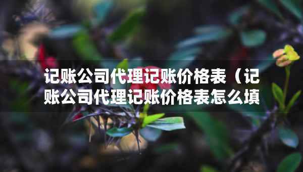 记账公司代理记账价格表（记账公司代理记账价格表怎么填）