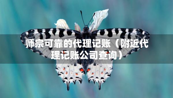 师宗可靠的代理记账（附近代理记账公司查询）