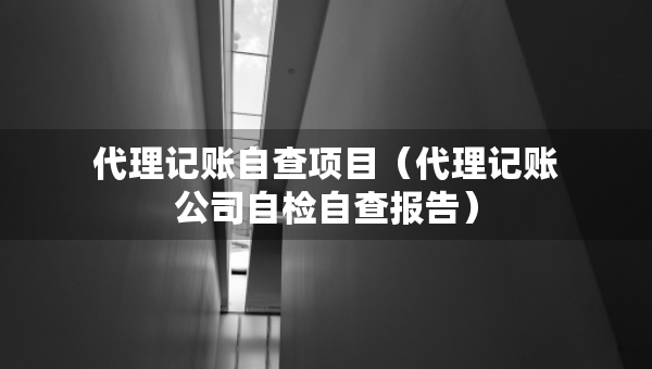 代理记账自查项目（代理记账公司自检自查报告）