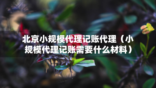 北京小规模代理记账代理（小规模代理记账需要什么材料）