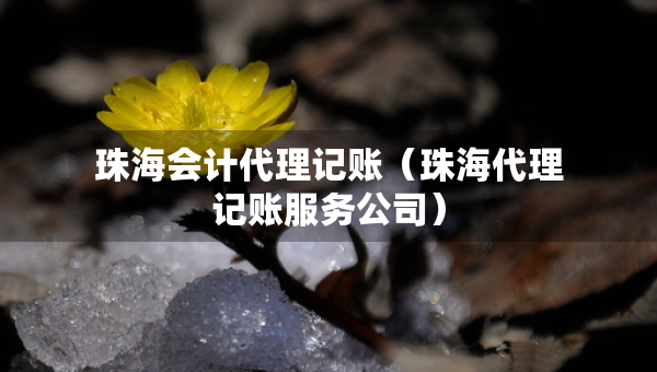 珠海会计代理记账（珠海代理记账服务公司）