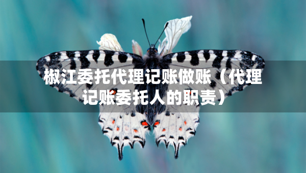 椒江委托代理记账做账（代理记账委托人的职责）